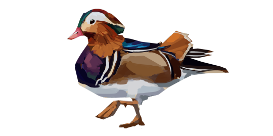 Low Poly Male Wood Duck