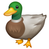 Emoji of a mallard